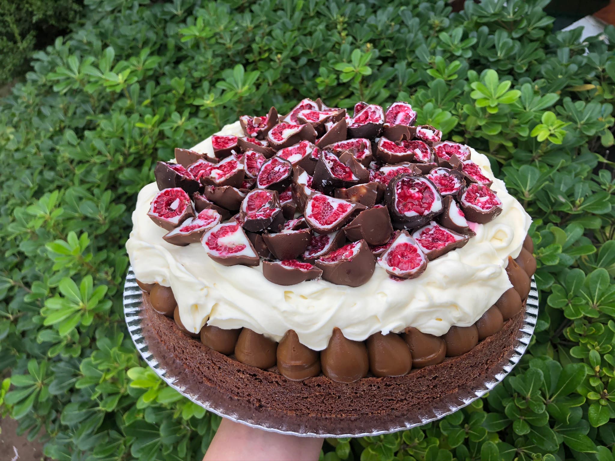Brownie Franui